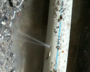 陆丰卫生间测漏水多少钱